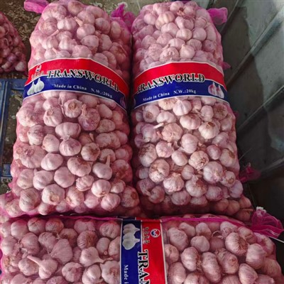 New Harvest tiszta fehér fokhagyma